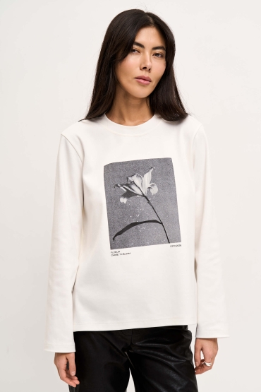 Джемпер С5597-5 НСК оптом