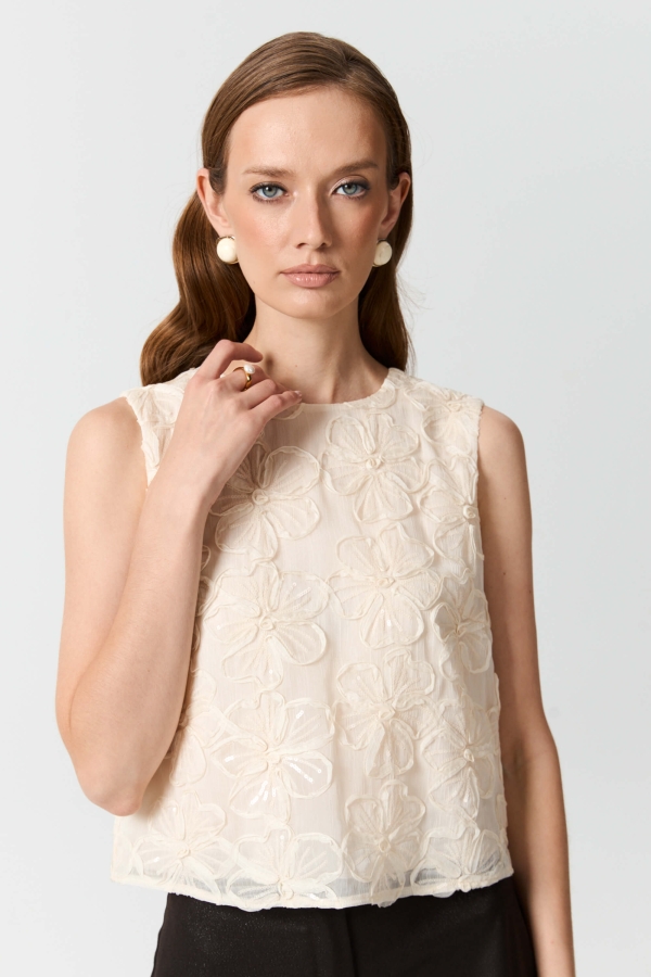 С2733 Топ (НСК) С2733 Топ (НСК)