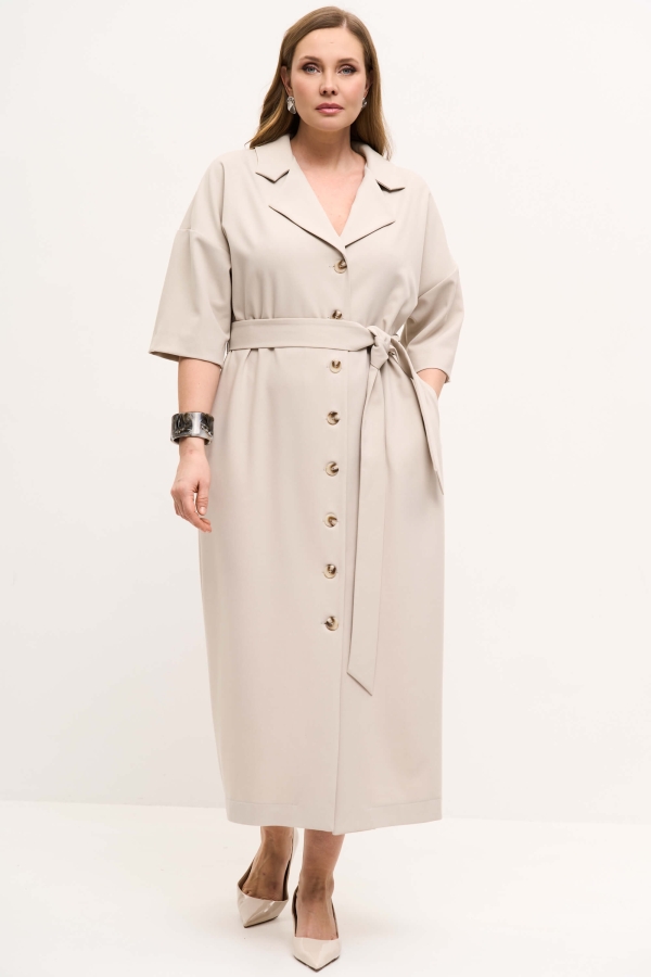 Б20496-1 Платье (НСК)