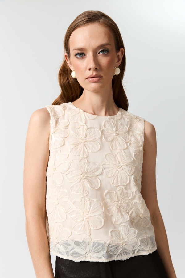 С2733 Топ (НСК) С2733 Топ (НСК)