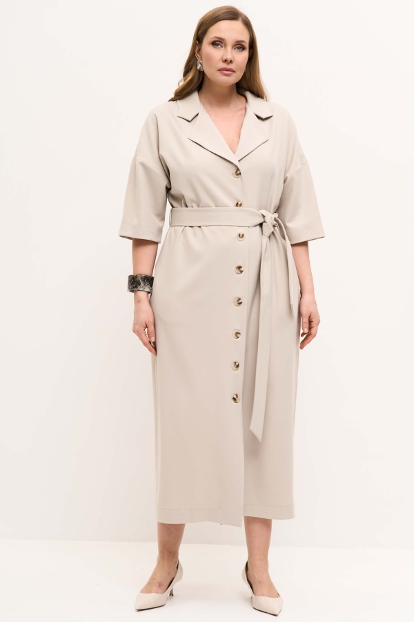 Б20496-1 Платье (НСК)