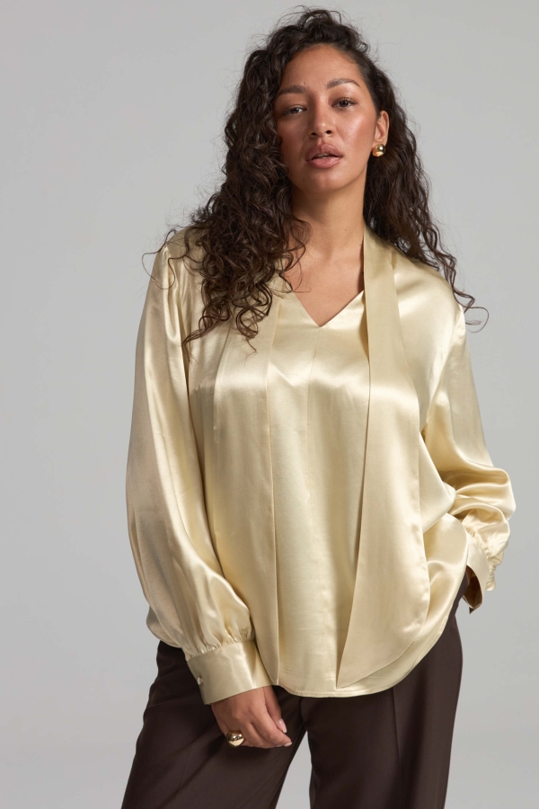 Б2584-1 Блуза (НСК)