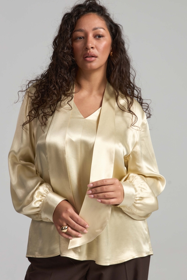 Б2584-1 Блуза (НСК)