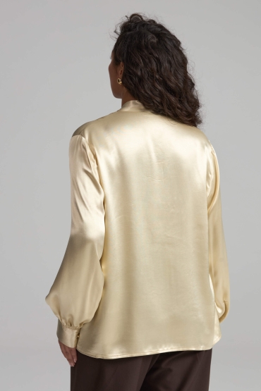 Б2584-1 Блуза (НСК)