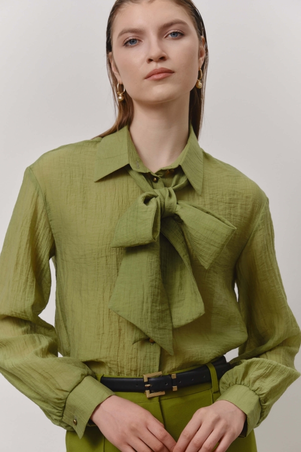 С2565-2 Блуза (НСК) С2565-2 Блуза (НСК)